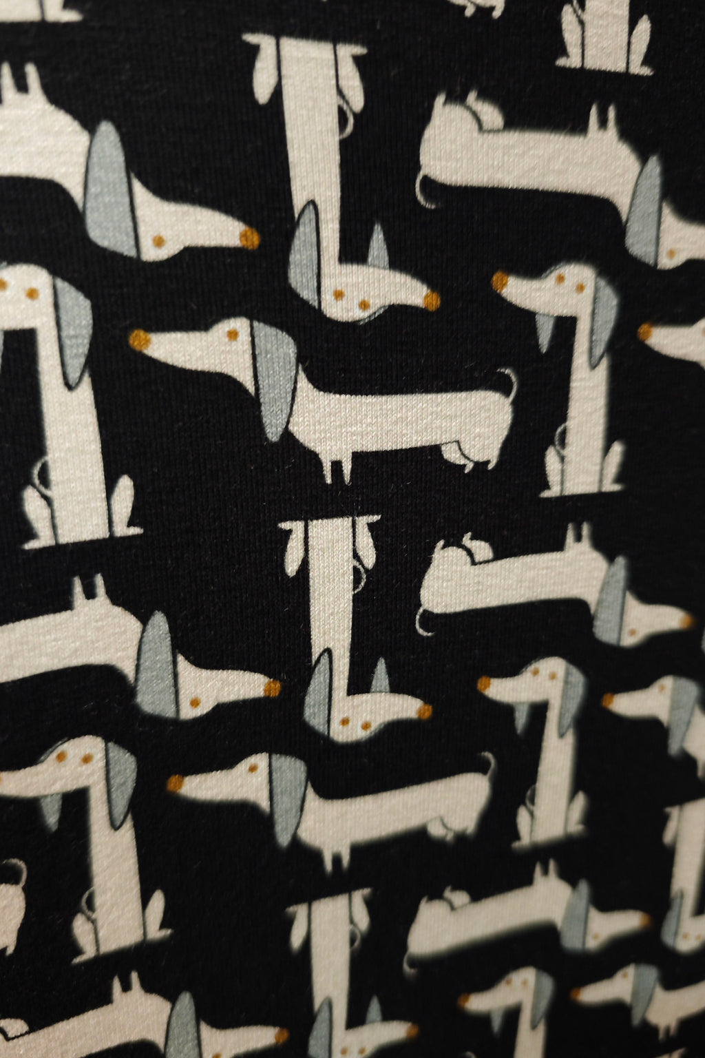 CAMISETA DRACO